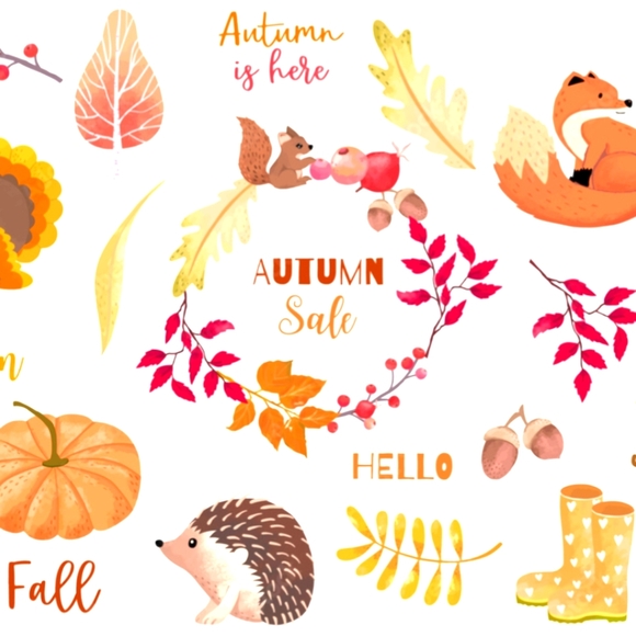 Cold weather essentials puffers hoodies and more - Picture 1 of 1